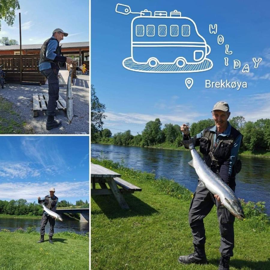 Surnadal Camping Brekkoya Skei  المظهر الخارجي الصورة